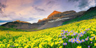 Valley-of-Flowers-Trekking